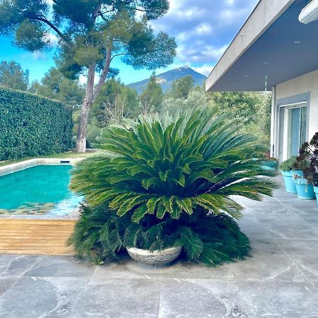 Chambre Luxe Dans Villa De Standing Avec Piscine, Acces Discret Et Independant, Terrasse Arboree Et Parking Prive La Valette-du-Var Exterior photo